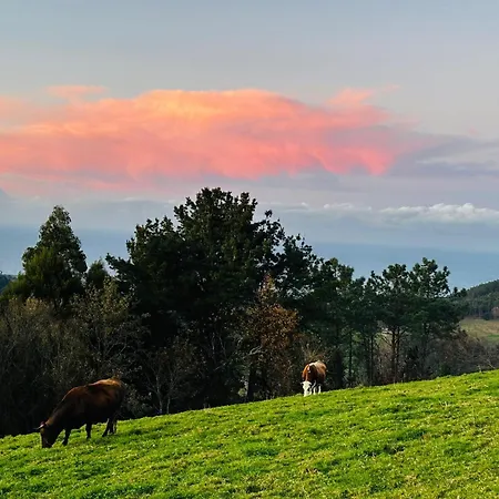 Apartamento Rurales El Fresnu Silvamayor