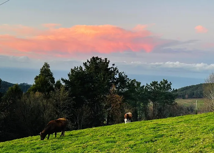 Apartamento Rurales El Fresnu Silvamayor